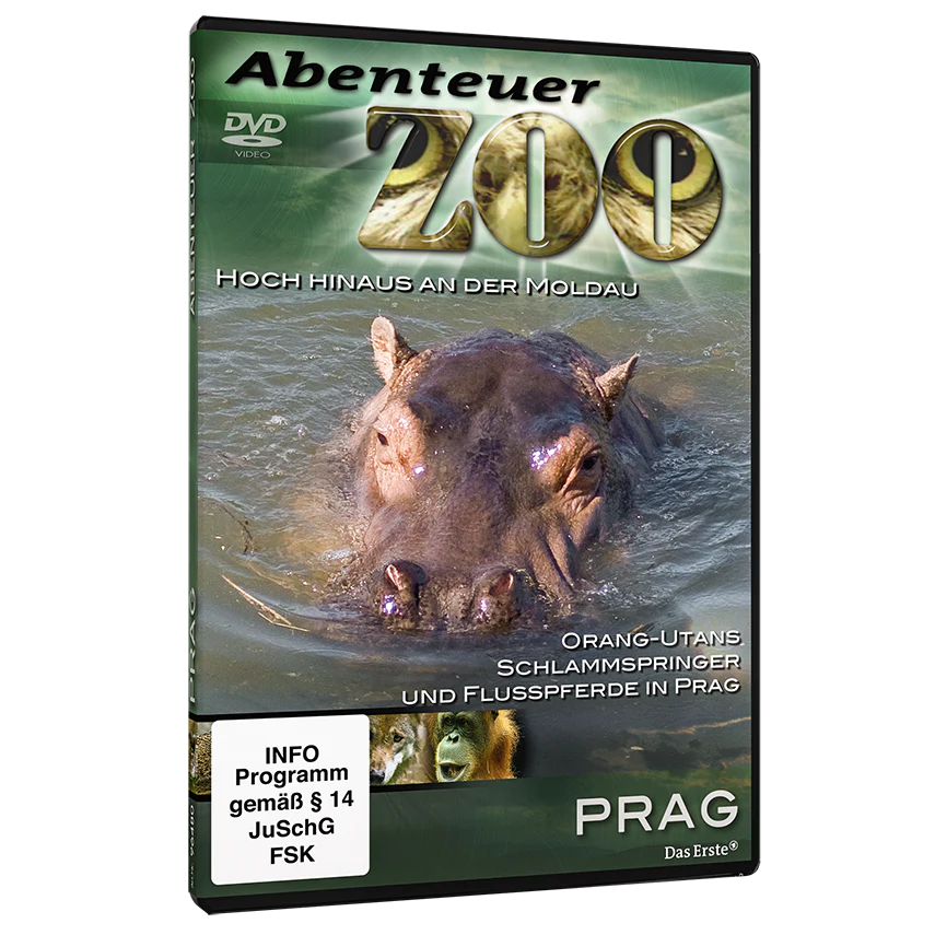 Abenteuer-Zoo-Set - Image 6