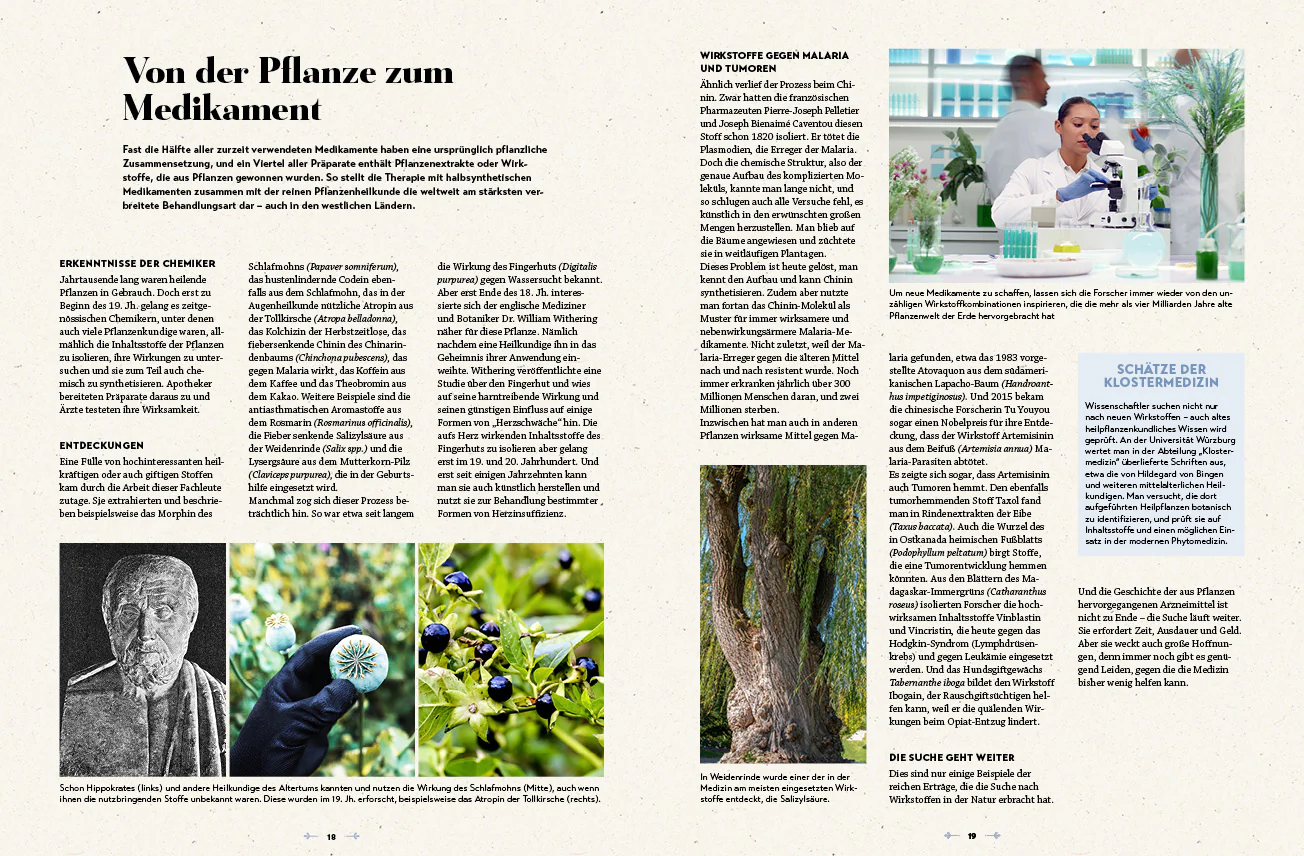 Das große Reader's Digest Heilpflanzenbuch - Image 3