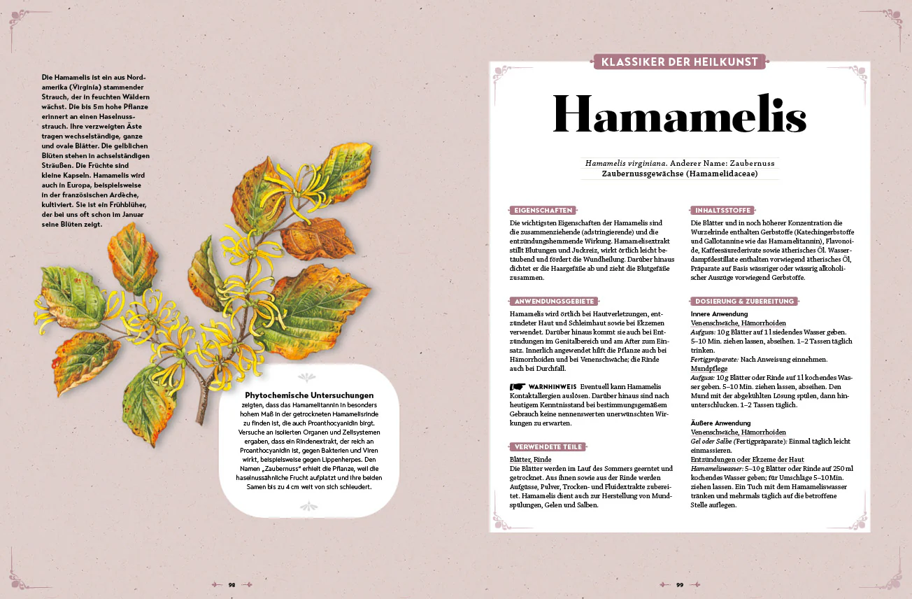 Das große Reader's Digest Heilpflanzenbuch - Image 4