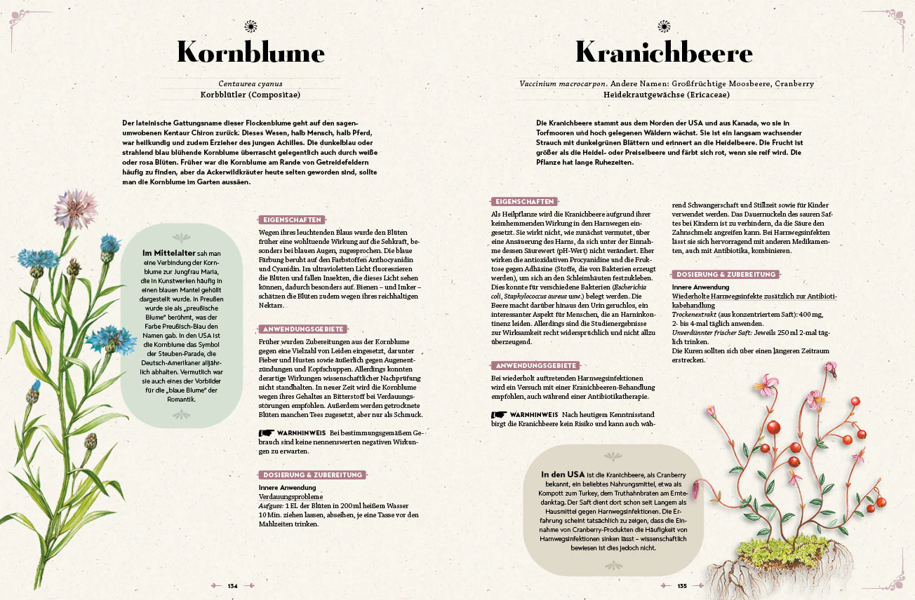 Das große Reader's Digest Heilpflanzenbuch - Image 5