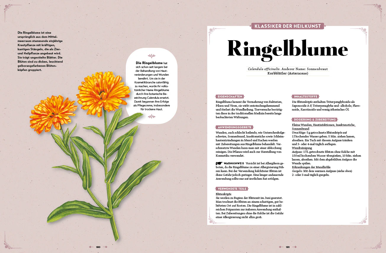 Das große Reader's Digest Heilpflanzenbuch - Image 7