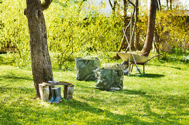 Gras-& Laubsammler (Set Sack & Schaufel) - Image 4