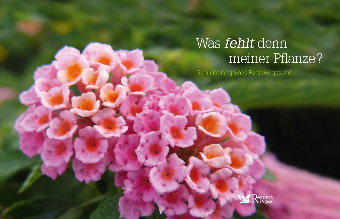 Pflanzen-Pflege 2er-Set - Image 6