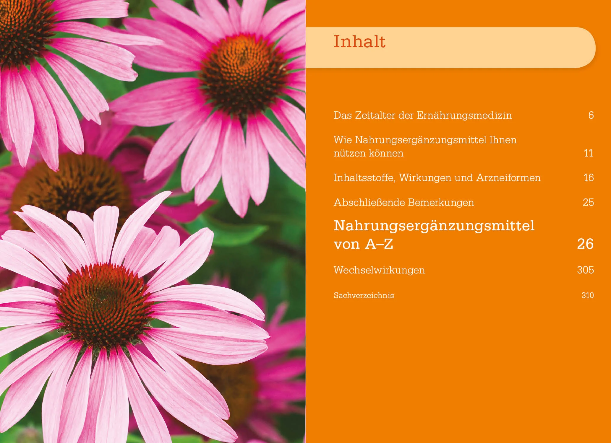 Vitamine, Mineralstoffe und Nahrungsergänzungsmittel - Image 2