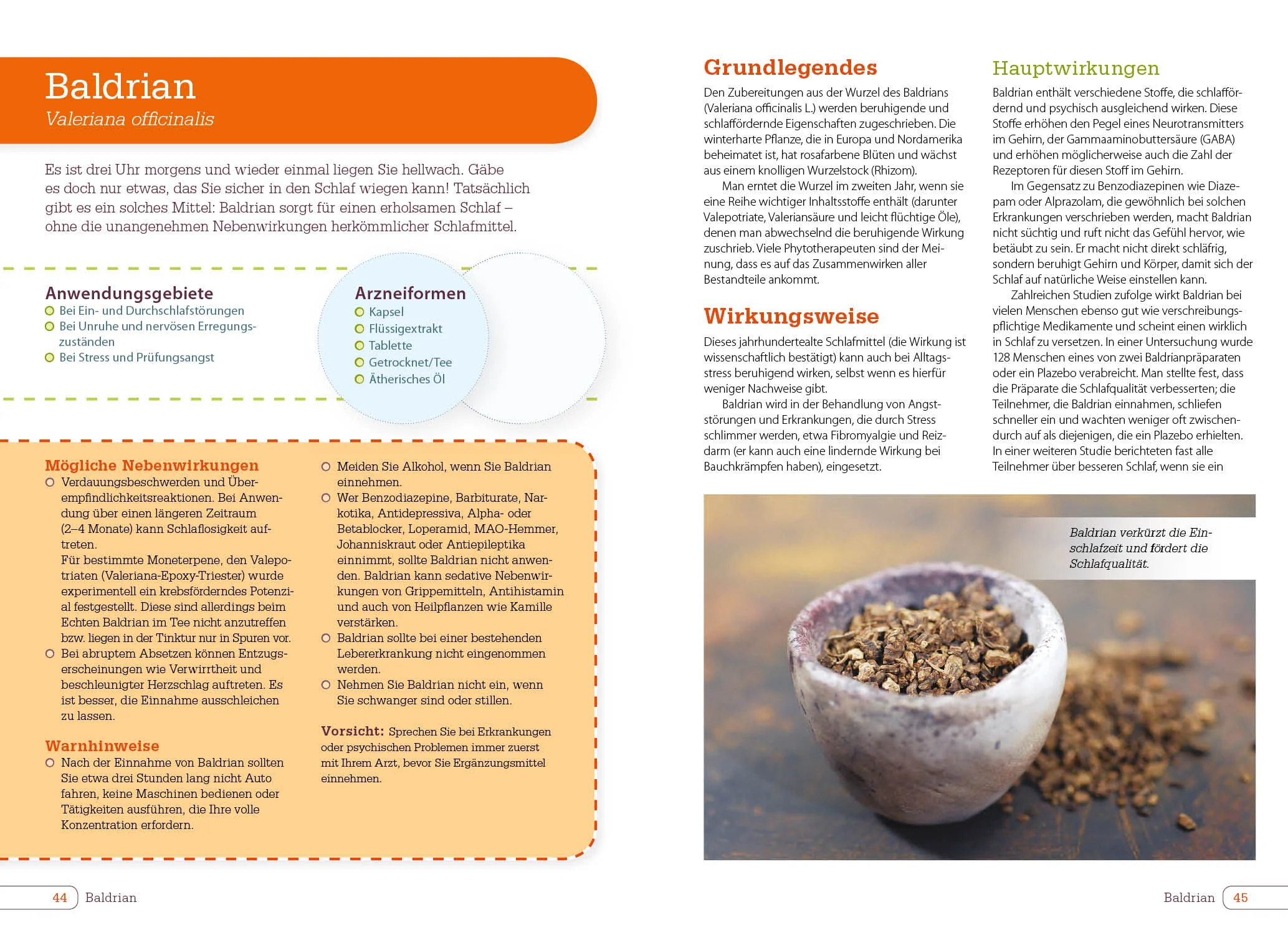 Vitamine, Mineralstoffe und Nahrungsergänzungsmittel - Image 4