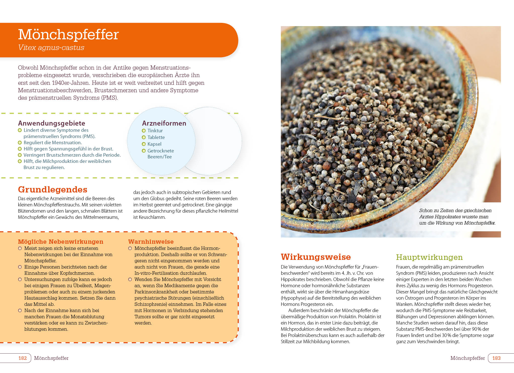 Vitamine, Mineralstoffe und Nahrungsergänzungsmittel - Image 7